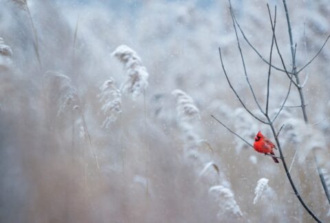 ray-hennessy-6-JIDCnZG2E-unsplash